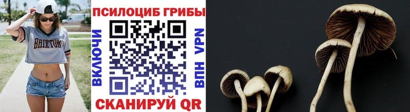 ОМГ ОМГ ССЫЛКА  Городовиковск  Галлюциногенные грибы GOLDEN TEACHER  хочу наркоту 